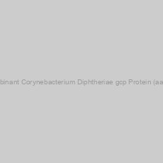 Image of Recombinant Corynebacterium Diphtheriae gcp Protein (aa 1-350)